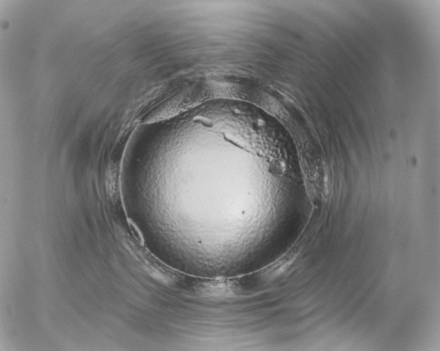 X0000056330335200509092334