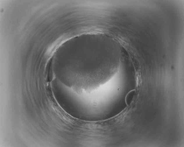 X0000056330339200509092334