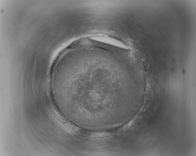 X0000056330342200509092334