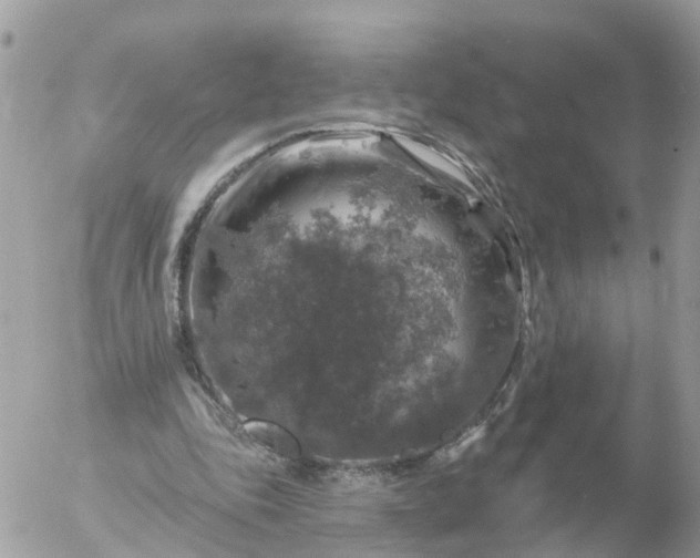 X0000056330343200509092334