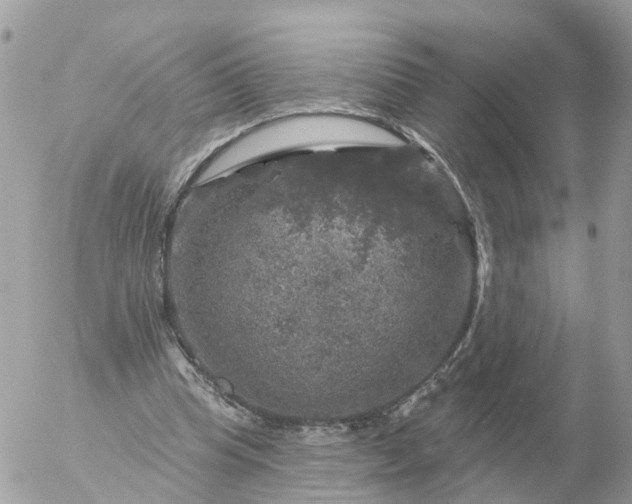 X0000056330345200509092334