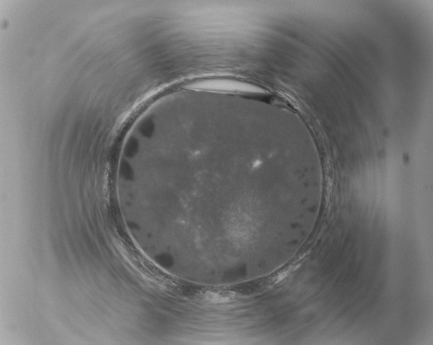 X0000056330346200509092334