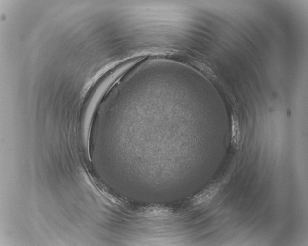 X0000056330348200509092334