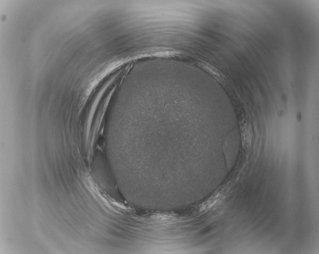 X0000056330350200509092334