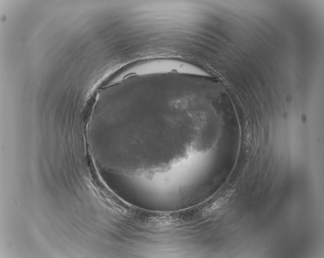 X0000056330351200509092334