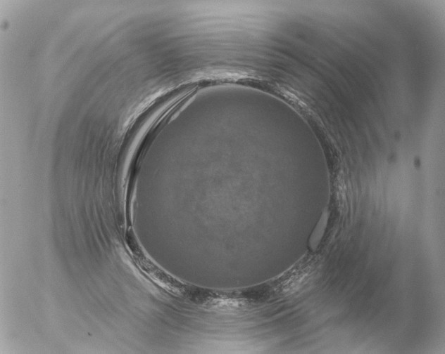 X0000056330352200509092334