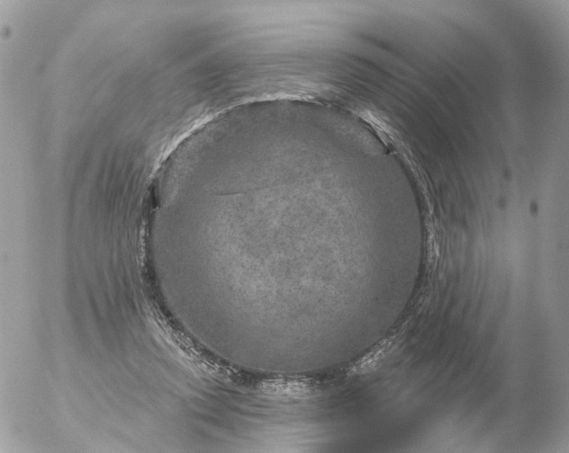 X0000056330354200509092334