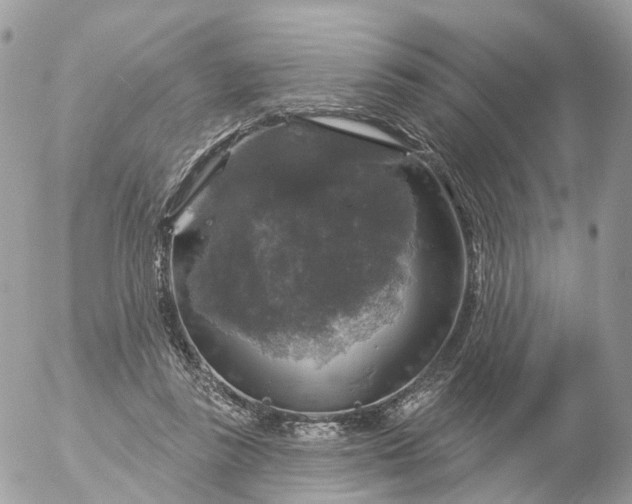 X0000056330355200509092334