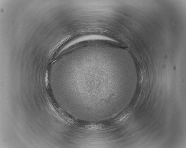 X0000056330356200509092334