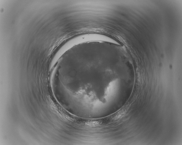 X0000056330357200509092334