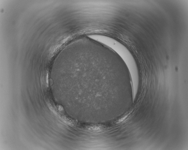 X0000056330358200509092334