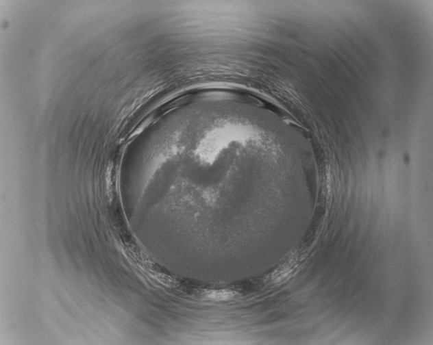 X0000056330360200509092334