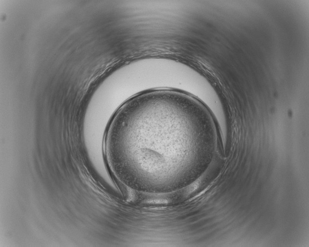 X0000056330362200509092334