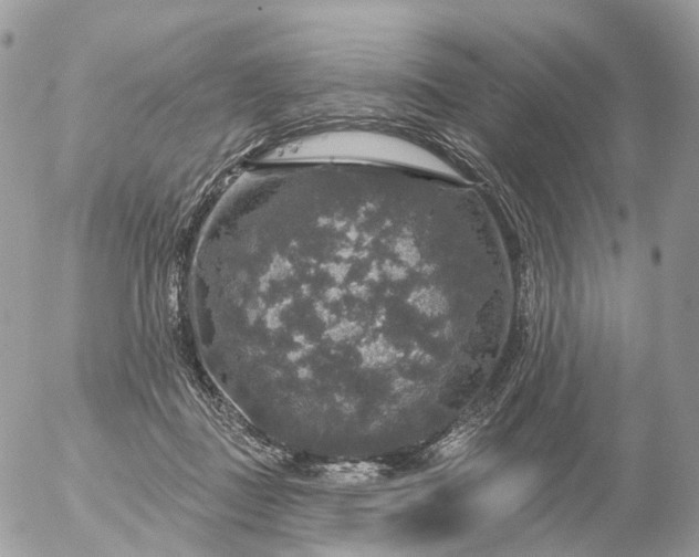 X0000056330363200509092334