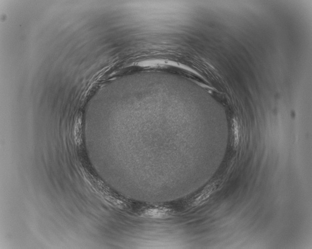 X0000056330364200509092334