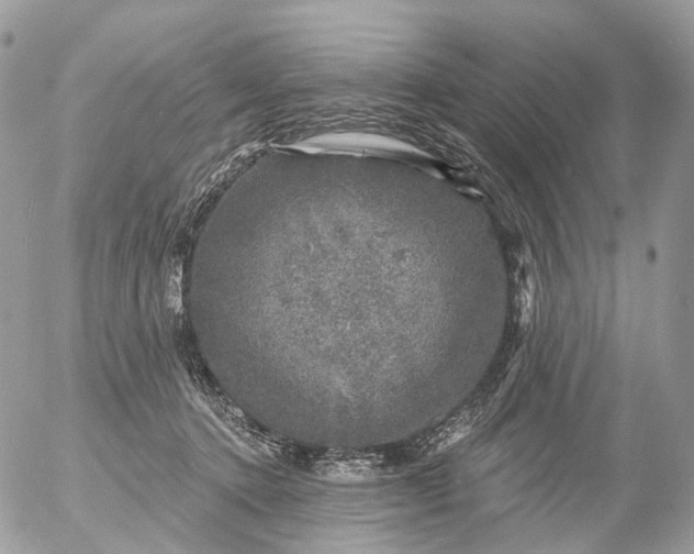 X0000056330368200509092334