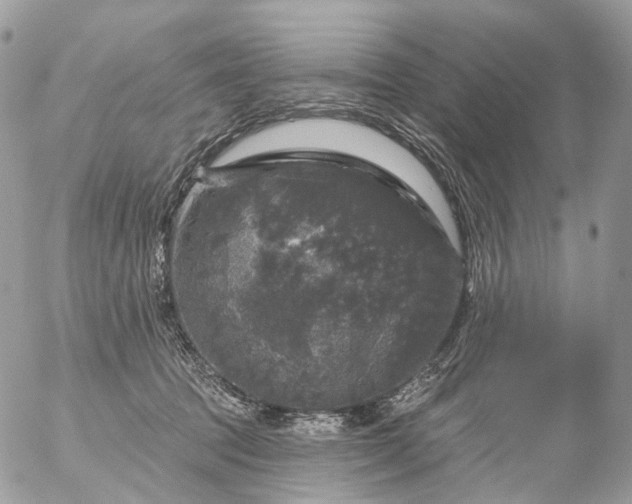 X0000056330369200509092334