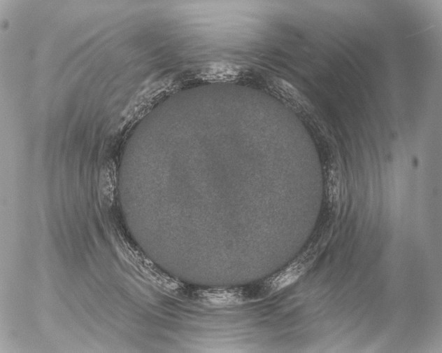 X0000056330370200509092334