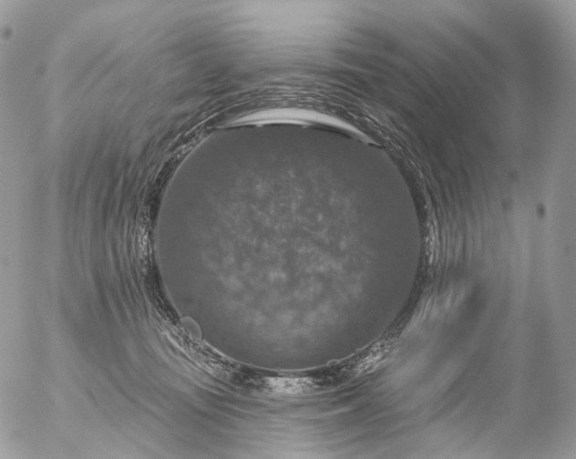 X0000056330371200509092334