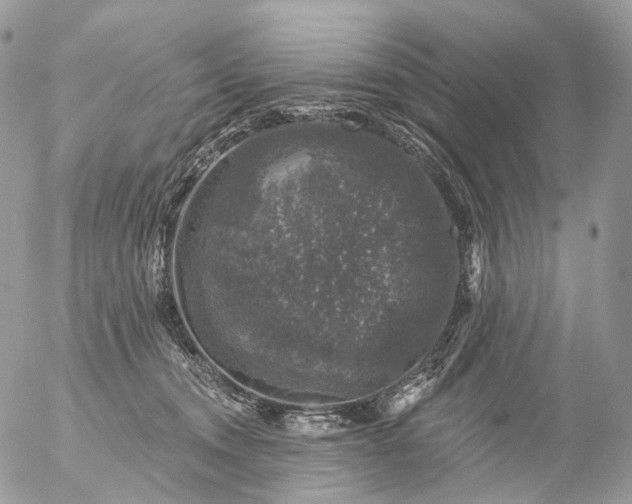 X0000056330372200509092334