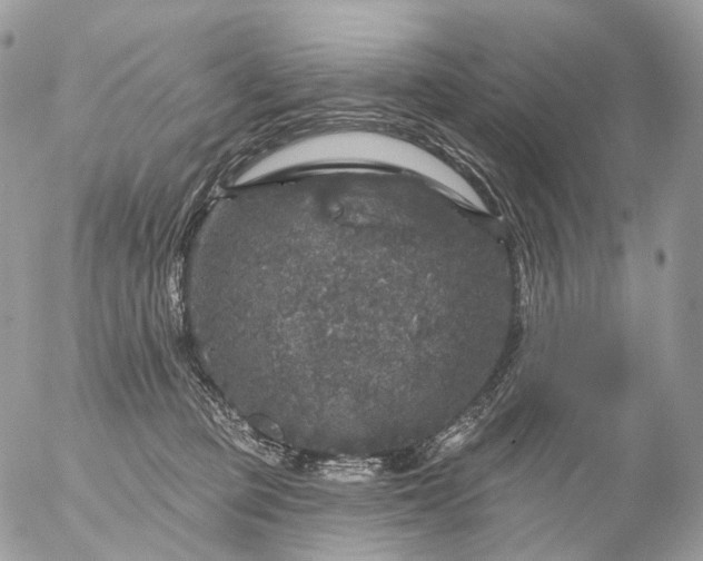 X0000056330373200509092334