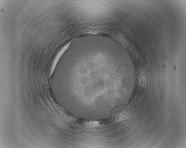 X0000056330374200509092334