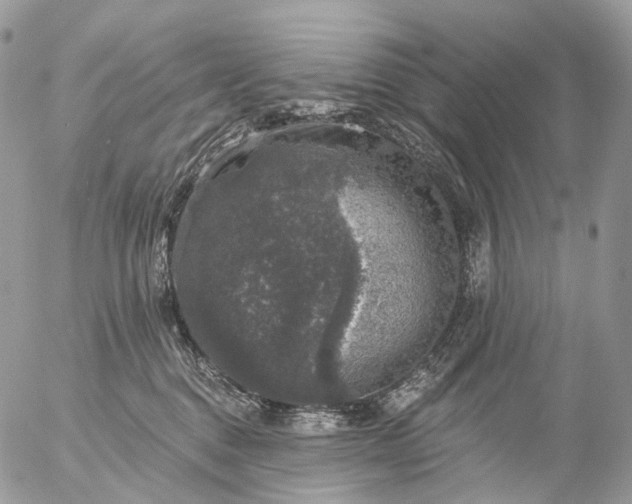 X0000056330376200509092334