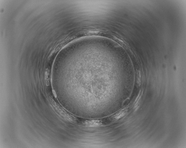 X0000056330378200509092334