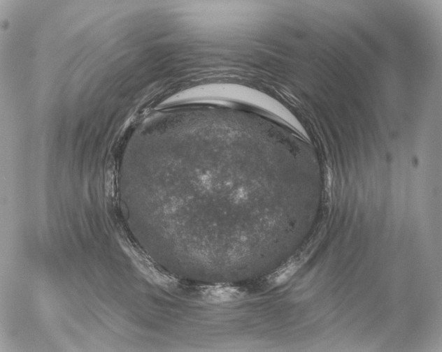 X0000056330379200509092334