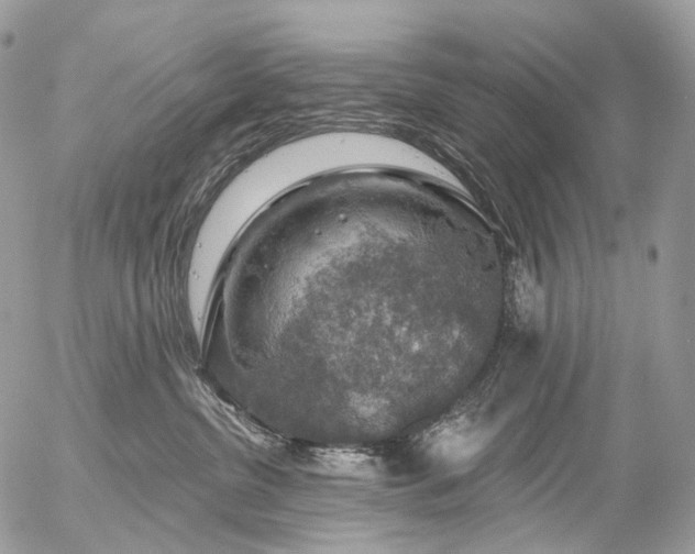 X0000056330380200509092334