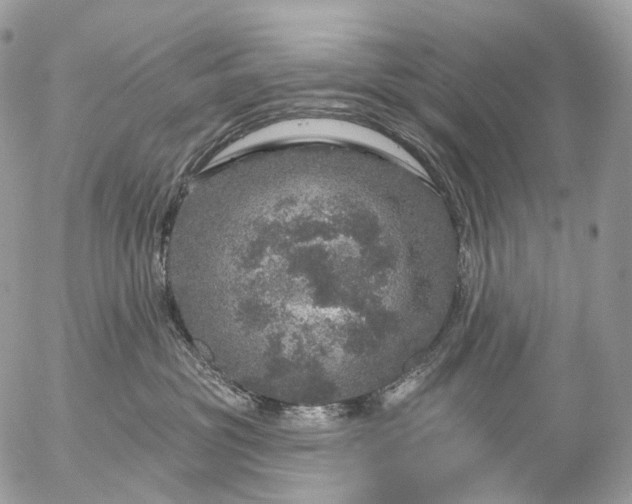 X0000056330381200509092334