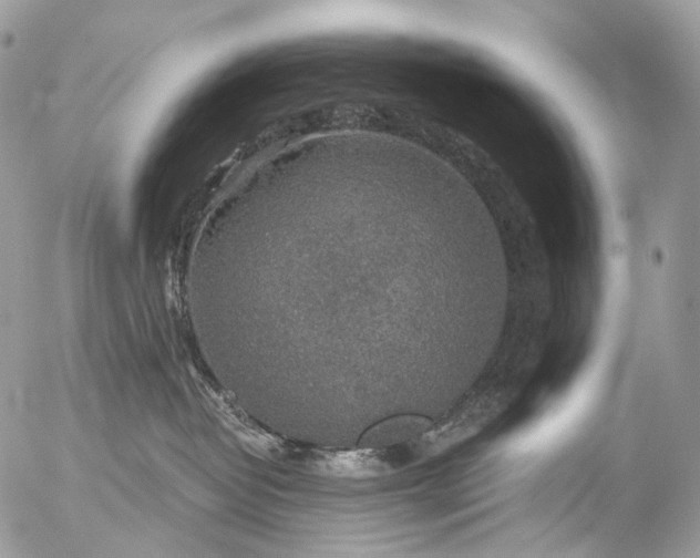 X0000056330382200509092334