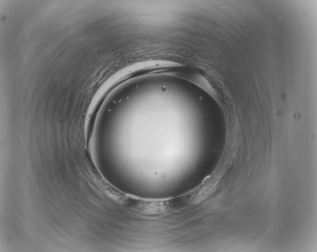 X0000056330384200509092334