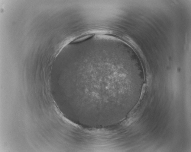 X0000056330385200509092334