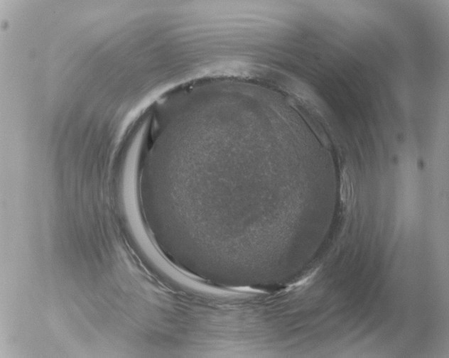 X0000056330388200509092334