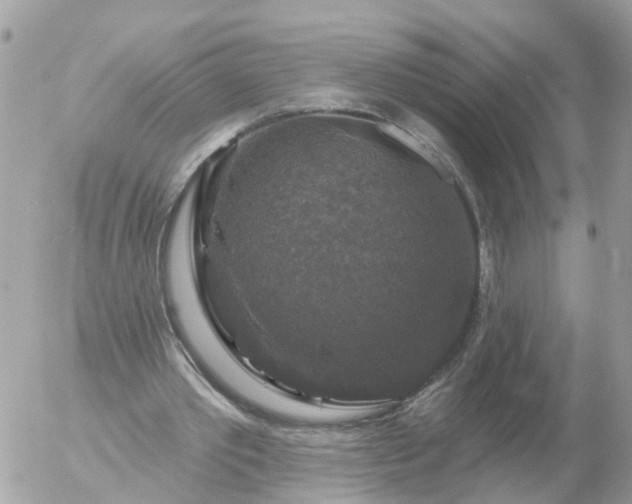 X0000056330389200509092334