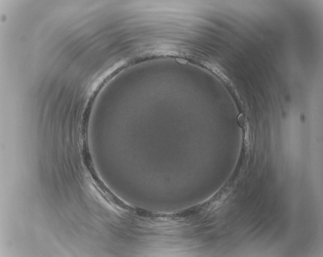 X0000056330390200509092334