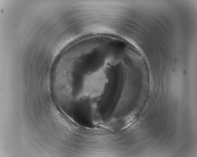 X0000056330391200509092334