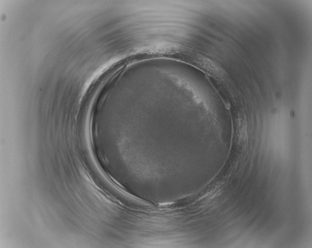 X0000056330392200509092333