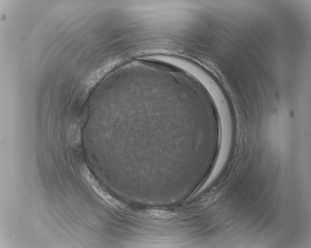 X0000056330393200509092333