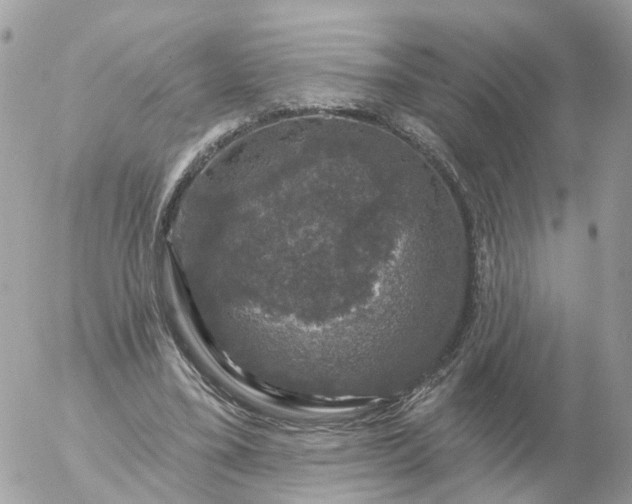 X0000056330395200509092333