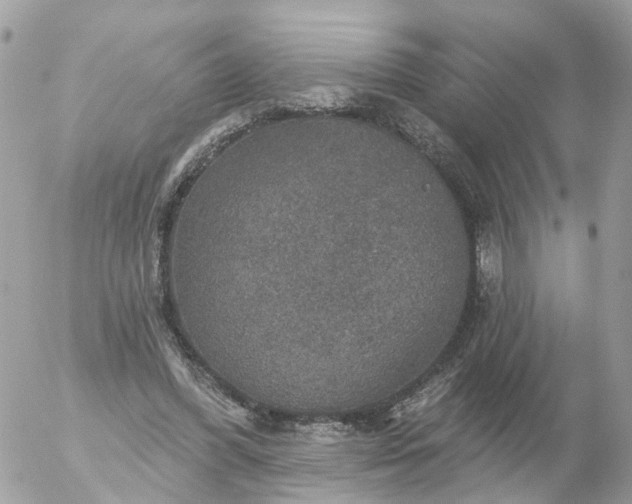 X0000056330396200509092333