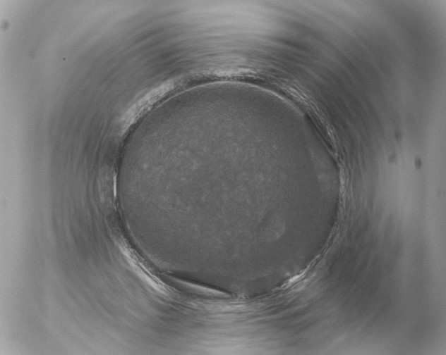 X0000056330397200509092333