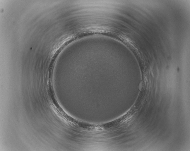 X0000056330398200509092333