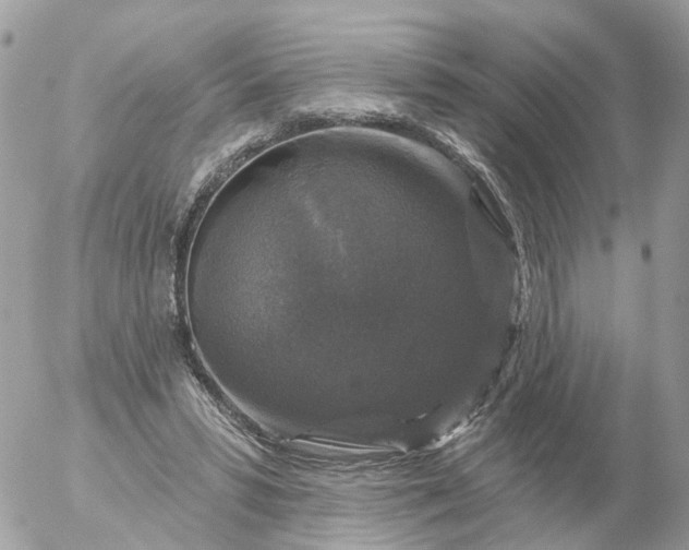 X0000056330399200509092333