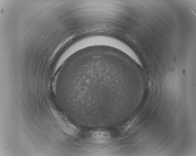 X0000056330400200509092333