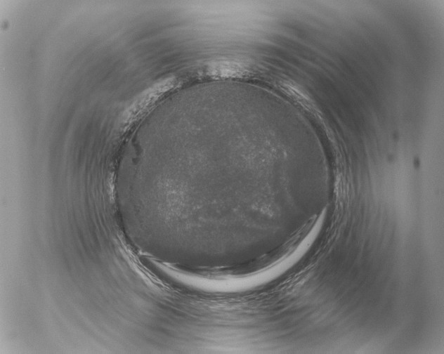 X0000056330401200509092333