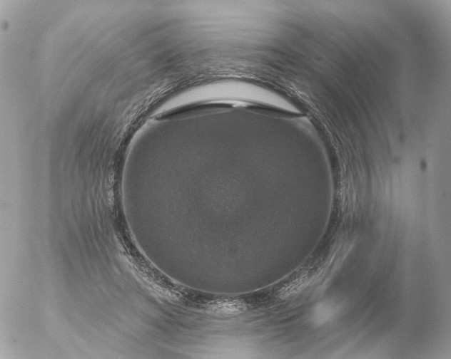 X0000056330402200509092333