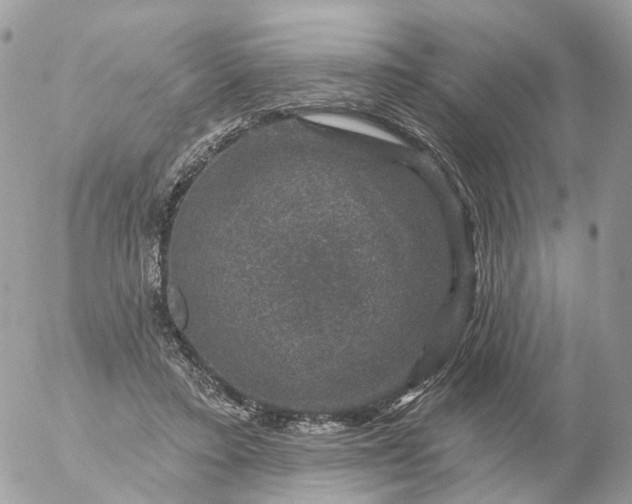 X0000056330403200509092333