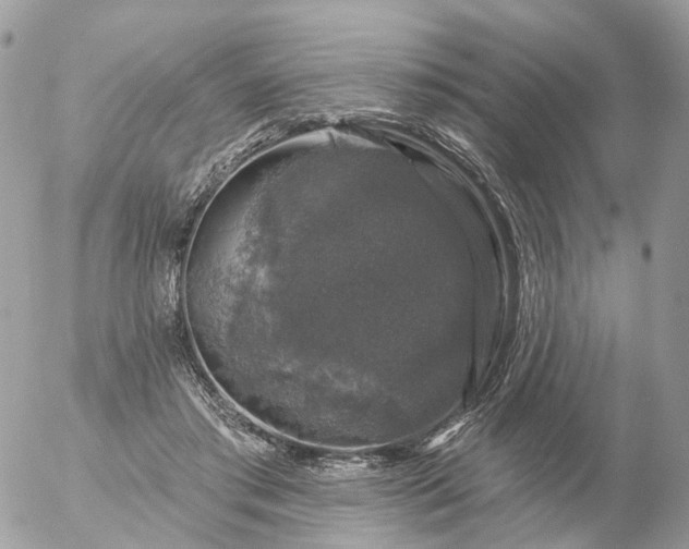 X0000056330405200509092333